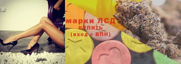 шишки Майский