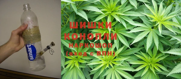 ПСИЛОЦИБИНОВЫЕ ГРИБЫ Медногорск
