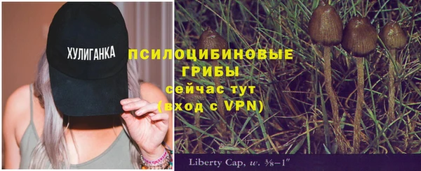 герыч Магас