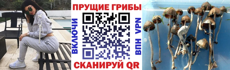 цена наркотик  Сызрань  Галлюциногенные грибы прущие грибы 