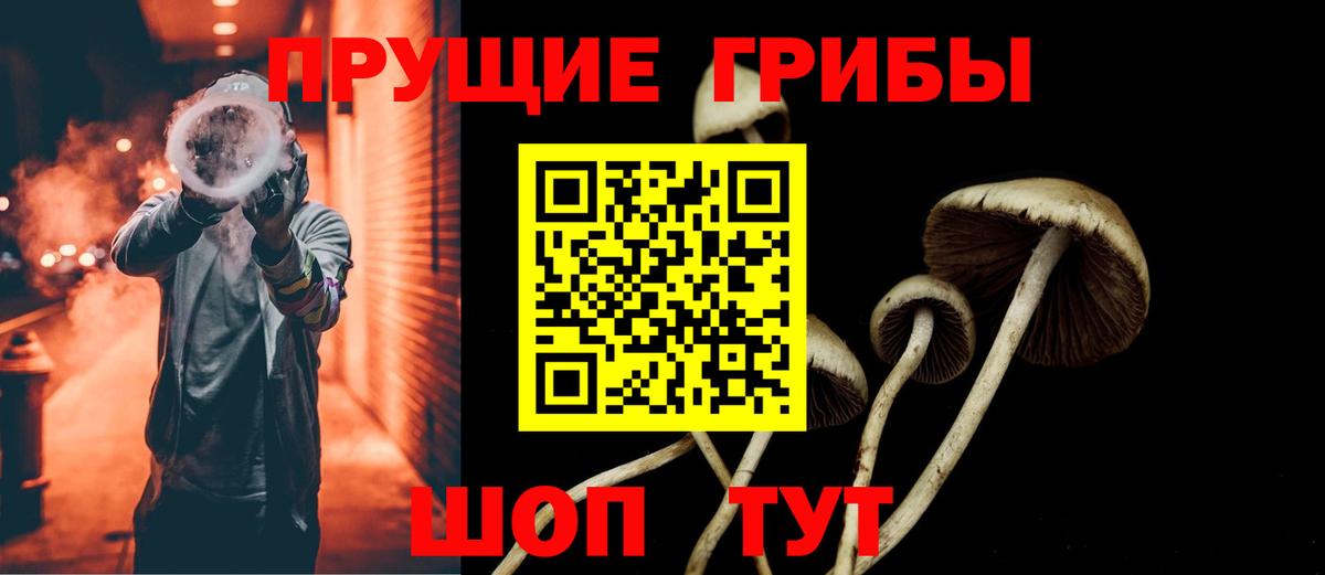 купить наркотик  Псилоцибиновые грибы Psilocybe  Вход с VPN  Сызрань 
